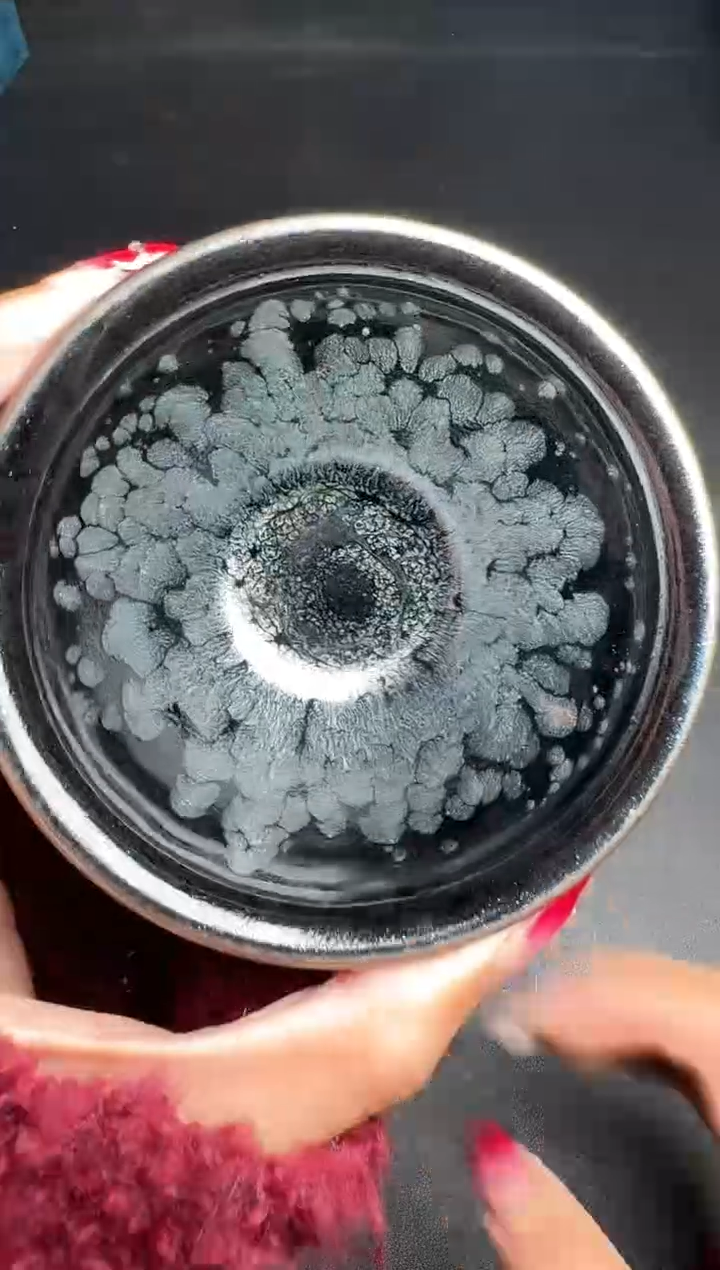 【闪购商品】茶盏肖艳黑牡丹盏144