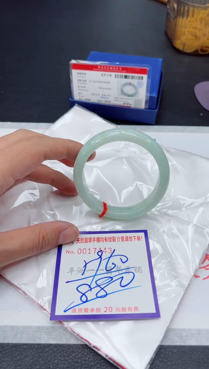 未镶嵌手镯翡翠1