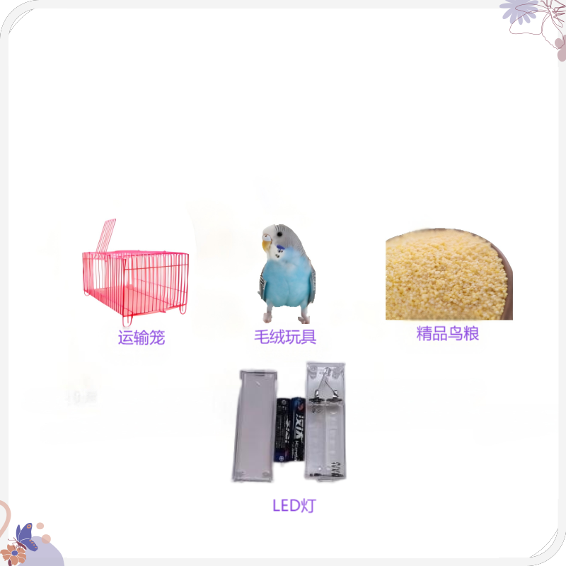 【小头】皮皮鹦鹉笼大礼包