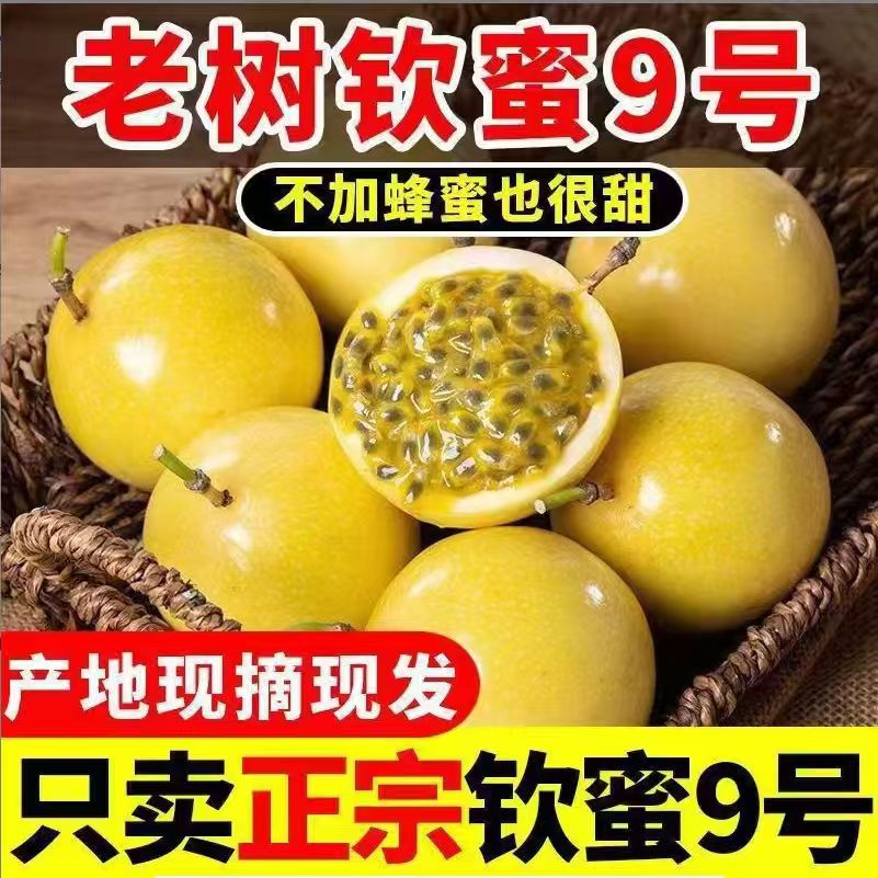 广西正宗钦蜜9号百香果现摘新鲜水果香甜多汁L【赠送开果器】