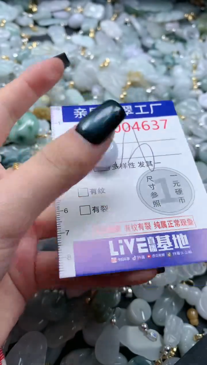 翡翠未镶嵌吊坠(不含链)4637