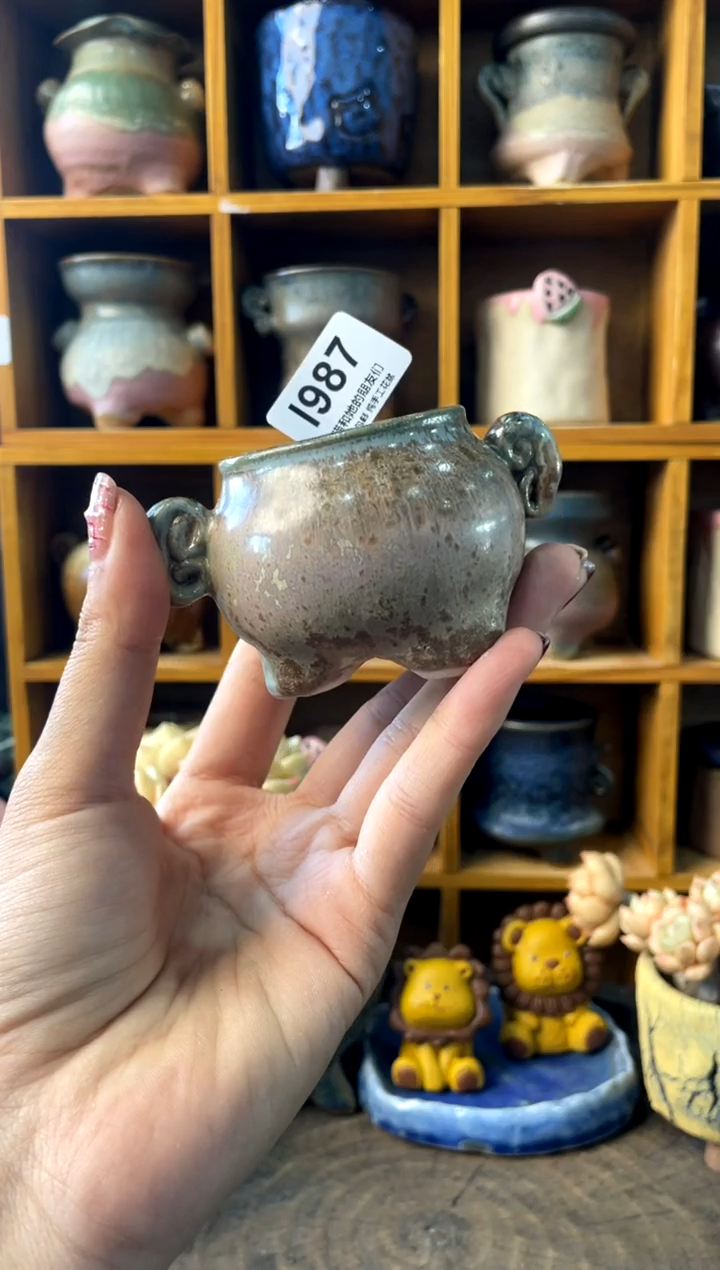 987内口4【多肉花盆多肉盆】