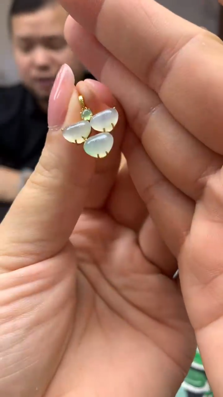 【闪购商品】翡翠颈饰未镶嵌53-天然翡翠