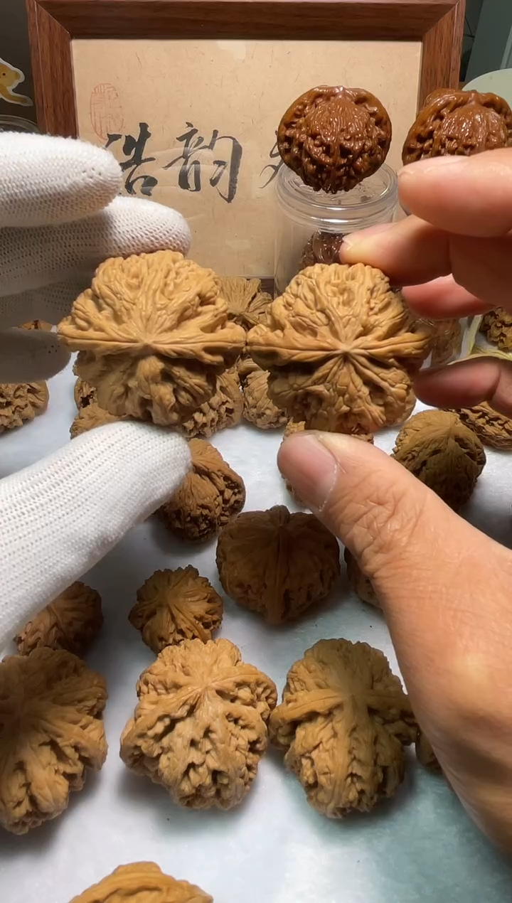 把件文玩核桃大粗筋