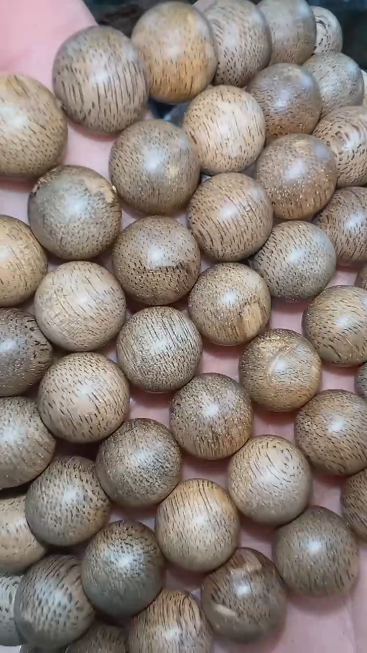 文莱11mm单圈多样性发其一