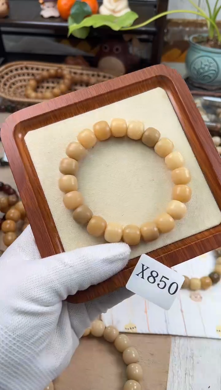 手串菩提根/象牙果x850干磨海子天然13