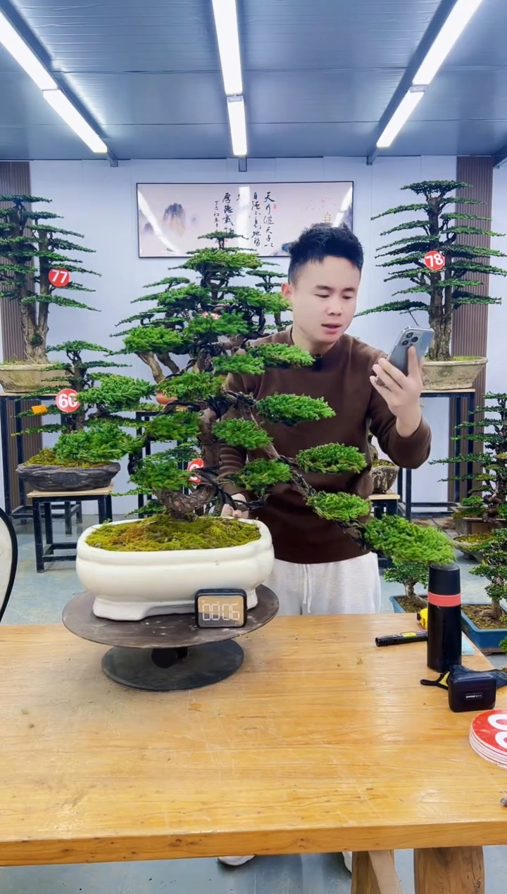 无花朵00000000000000