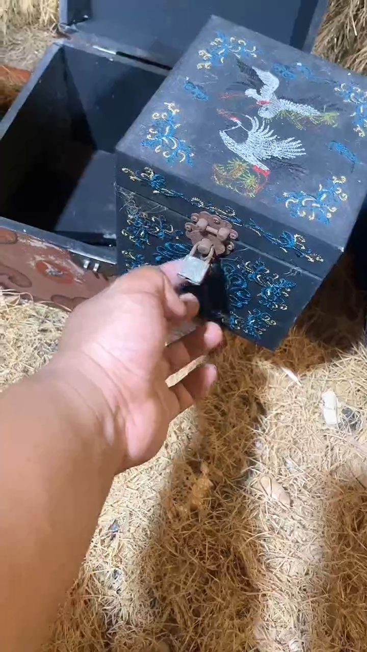 木闪购链接木（佳佳甄选）  