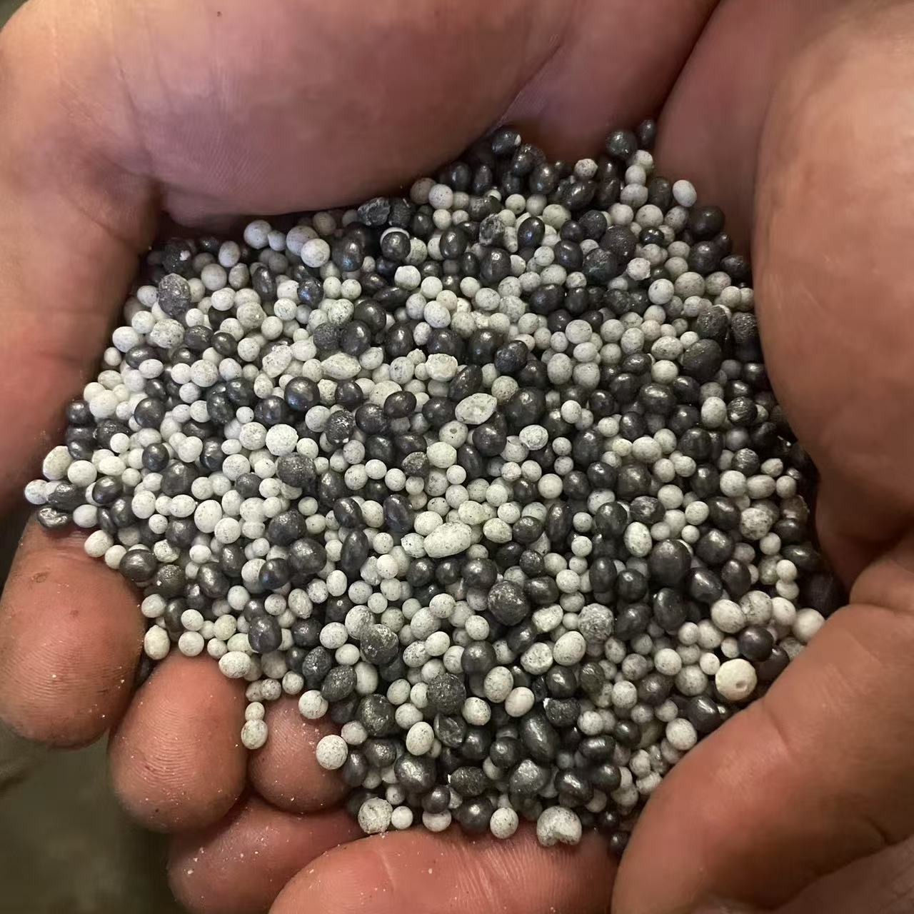 促花爆笋肥一斤装