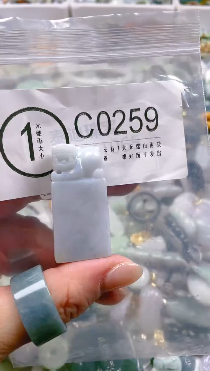 【闪购商品】翡翠颈饰未镶嵌/C/翡翠A货一图一物