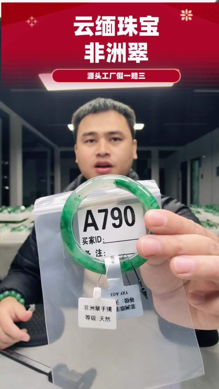 未镶嵌手镯石英质玉（非洲翠）56圈口A790