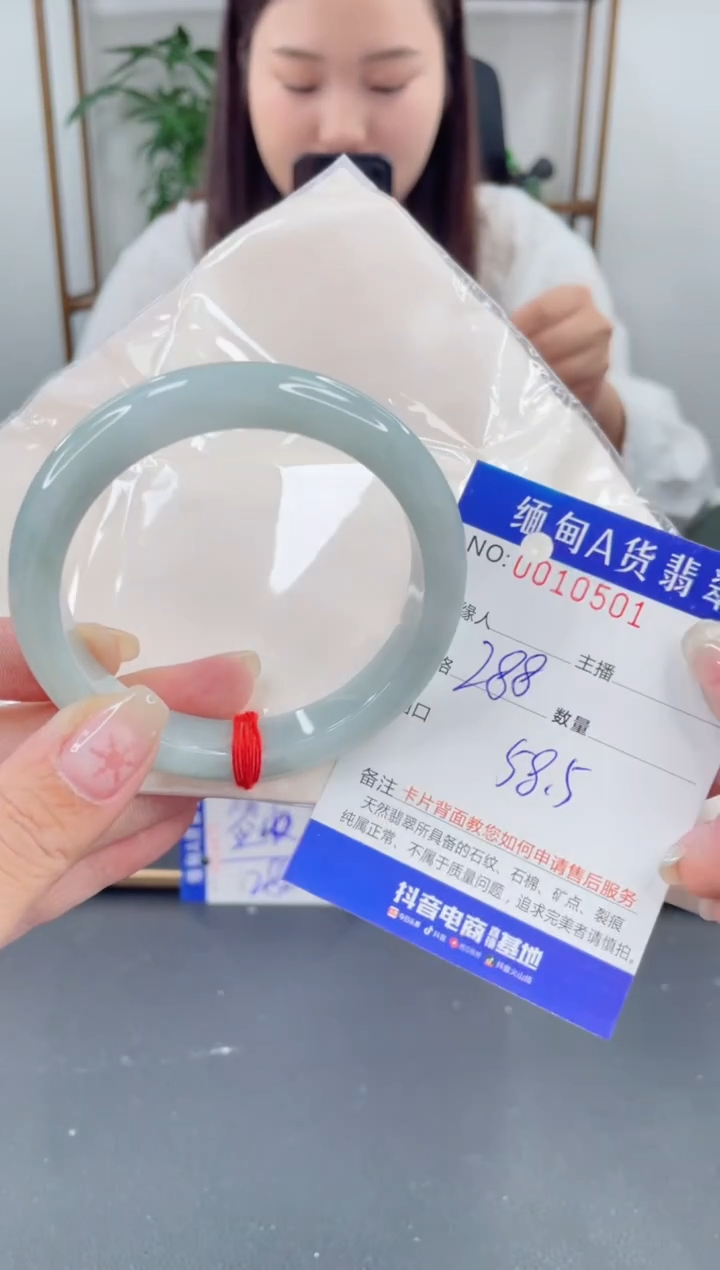 未镶嵌手镯翡翠 