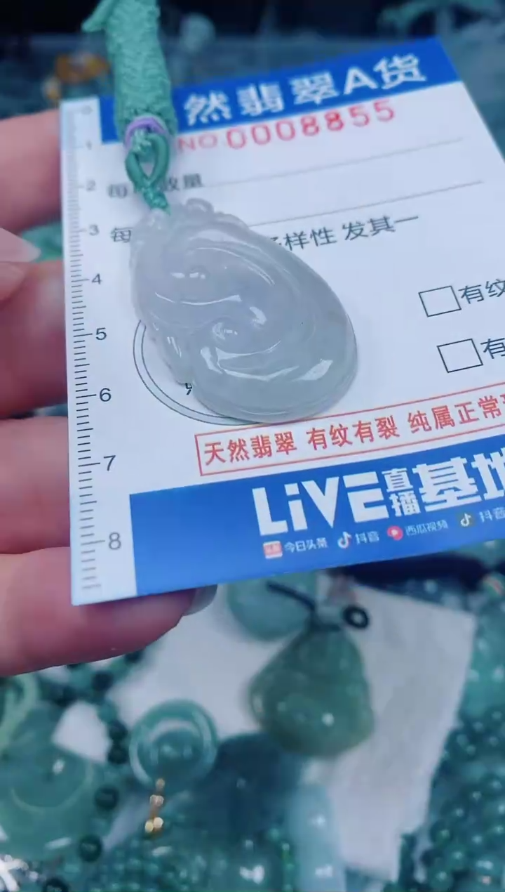 颈饰未镶嵌翡翠00008855