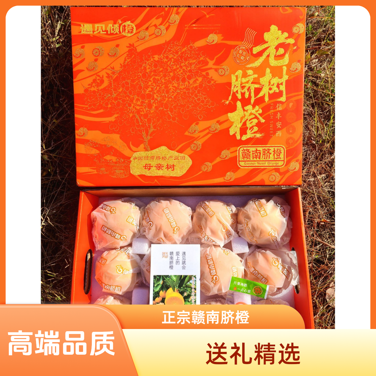 【特选】正宗赣南信丰橙子源头新鲜采摘水果香甜多汁礼盒装顺丰包邮
