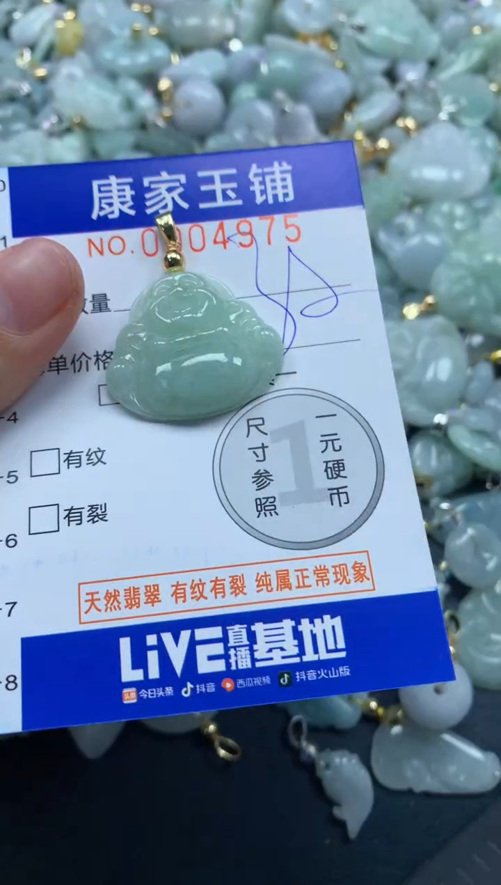 颈饰未镶嵌翡翠4975