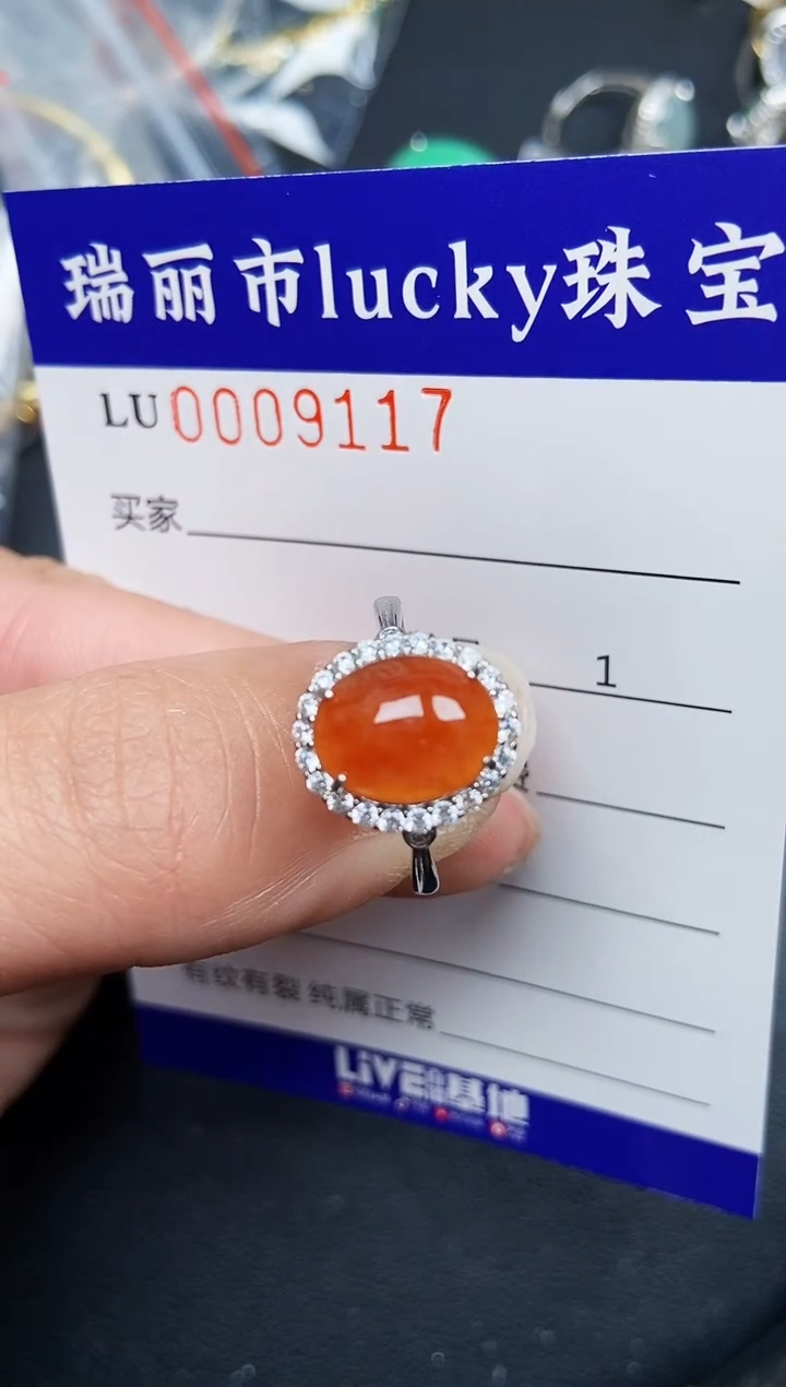 【闪购商品】翡翠颈饰银S925镶嵌9117