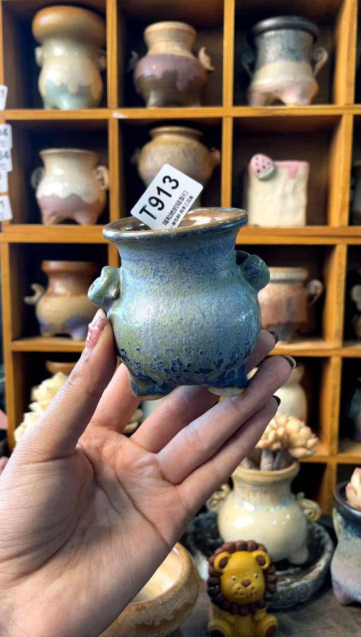 ?****?913【多肉花盆多肉盆】