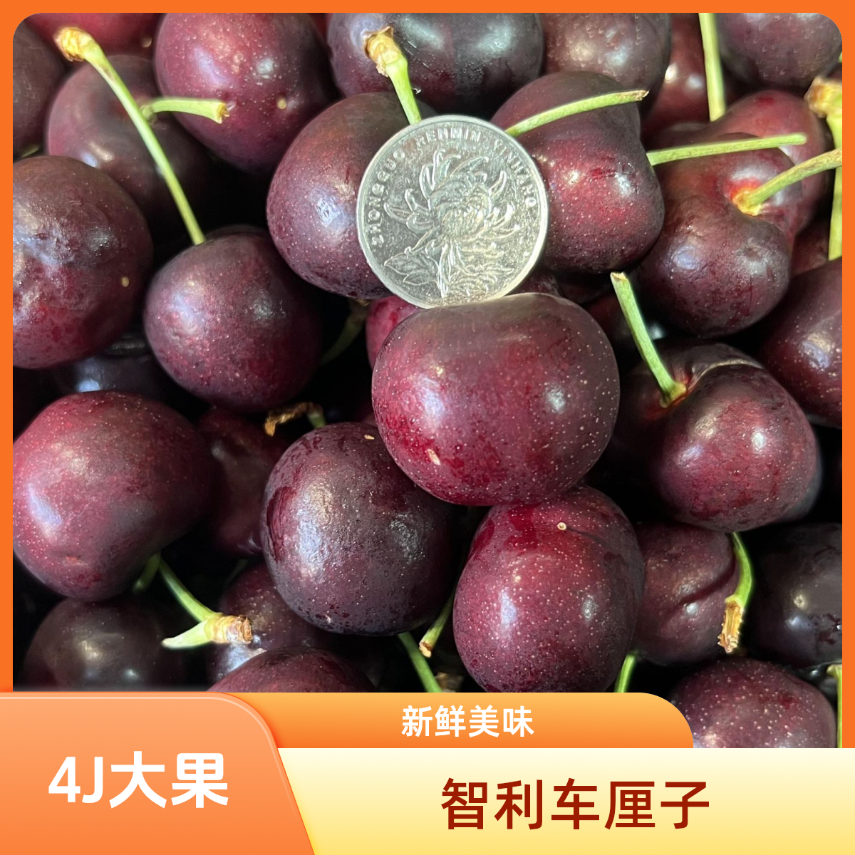 空运4J级车厘子500g盒装智利