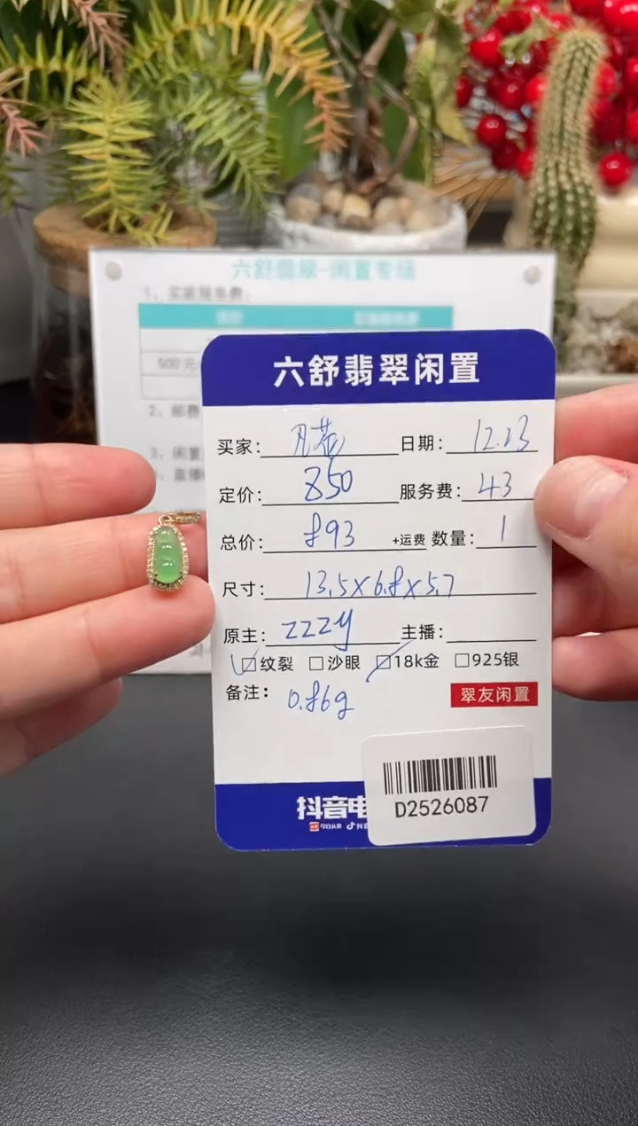 颈饰18K金镶嵌翡翠凡*D2526087