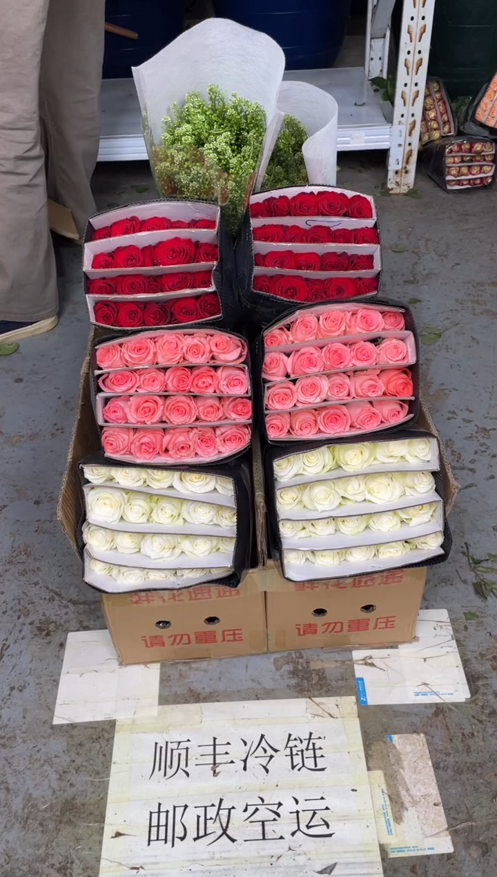 骄傲20枝+戴安娜20枝+高原红20枝+绿林草