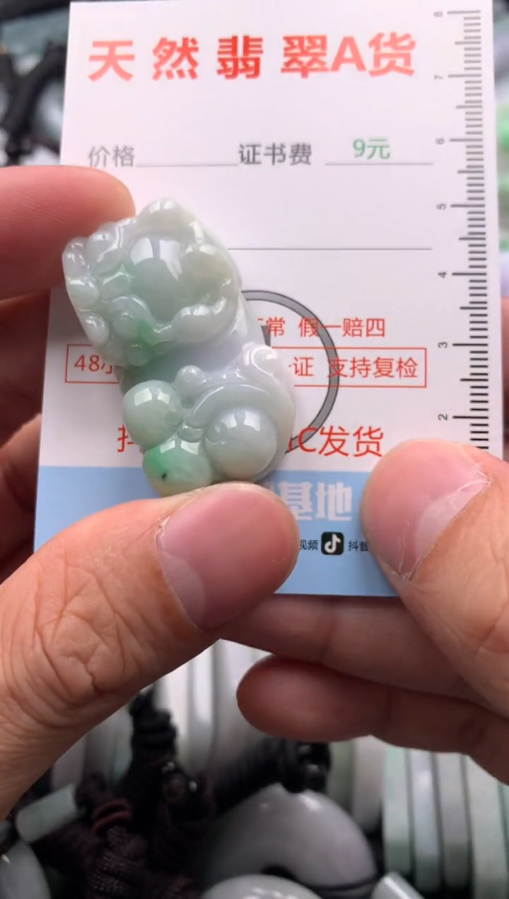 翡翠未镶嵌吊坠(不含链)1