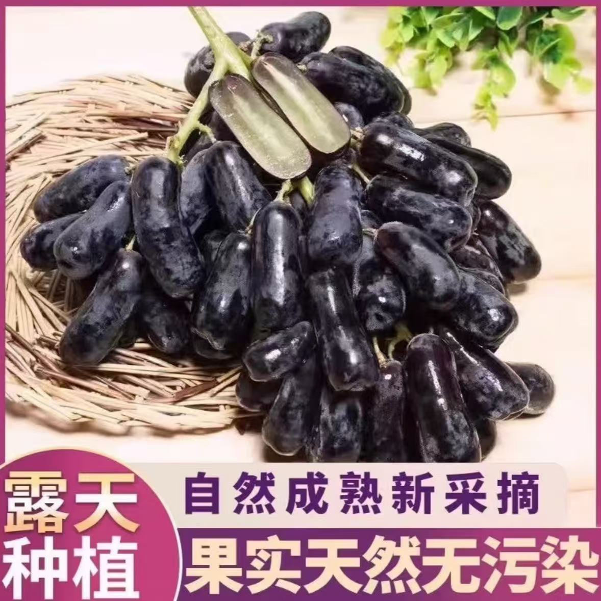 蓝宝石无籽美人指葡萄黑提水果黑美人指水果云南省