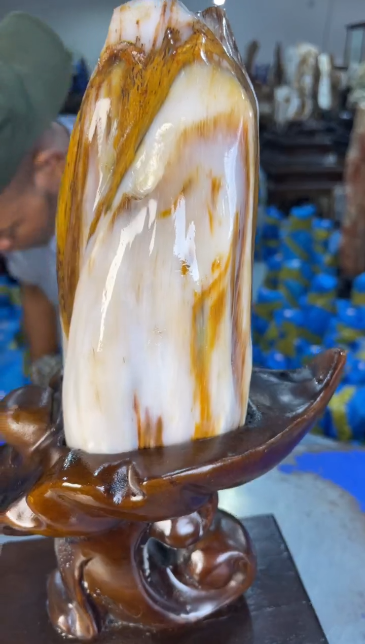 未镶嵌摆件硅化玉6