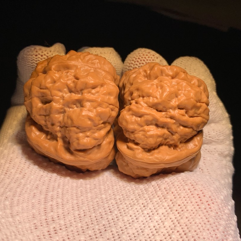 怀柔老蒋一代蛤蟆头（微修打底）