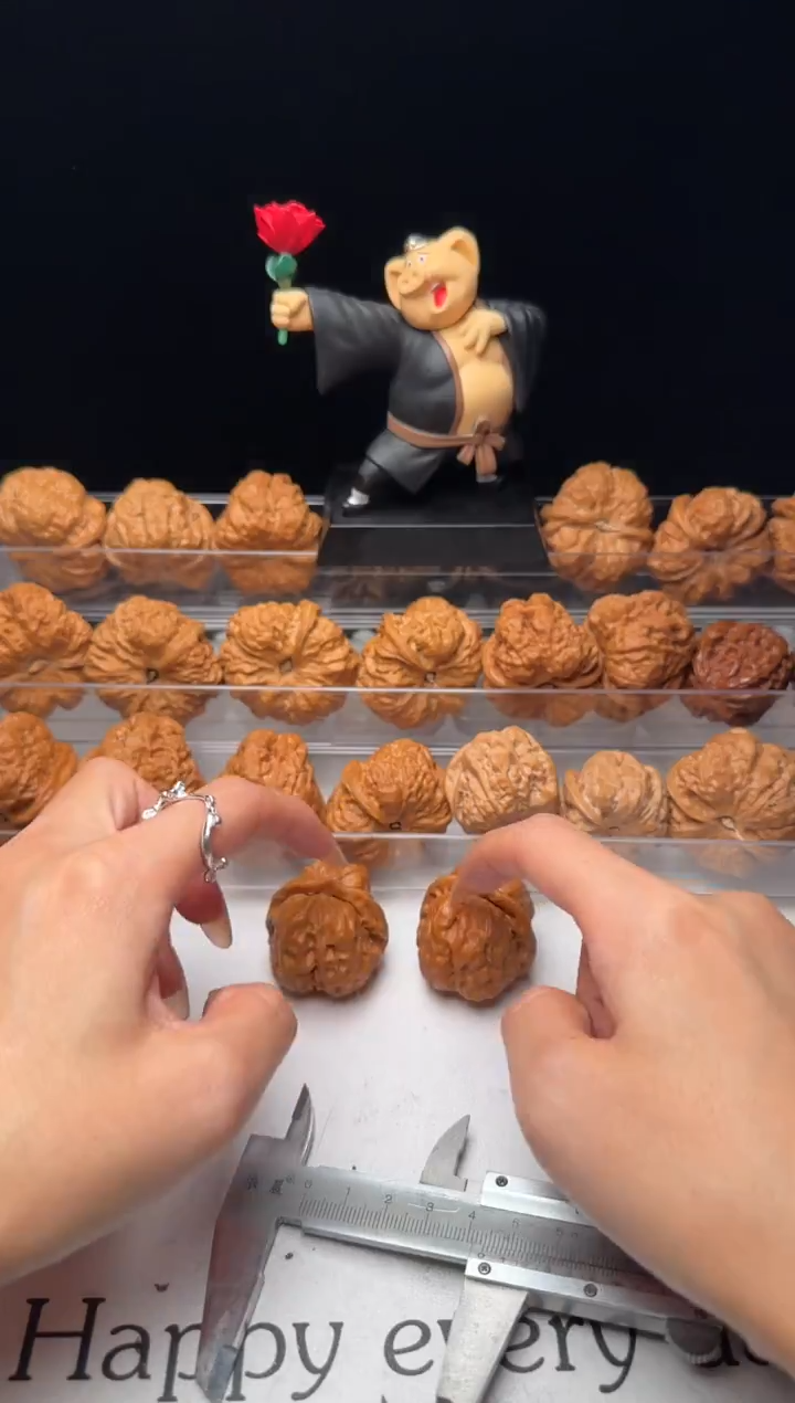 核桃?**海编号07的