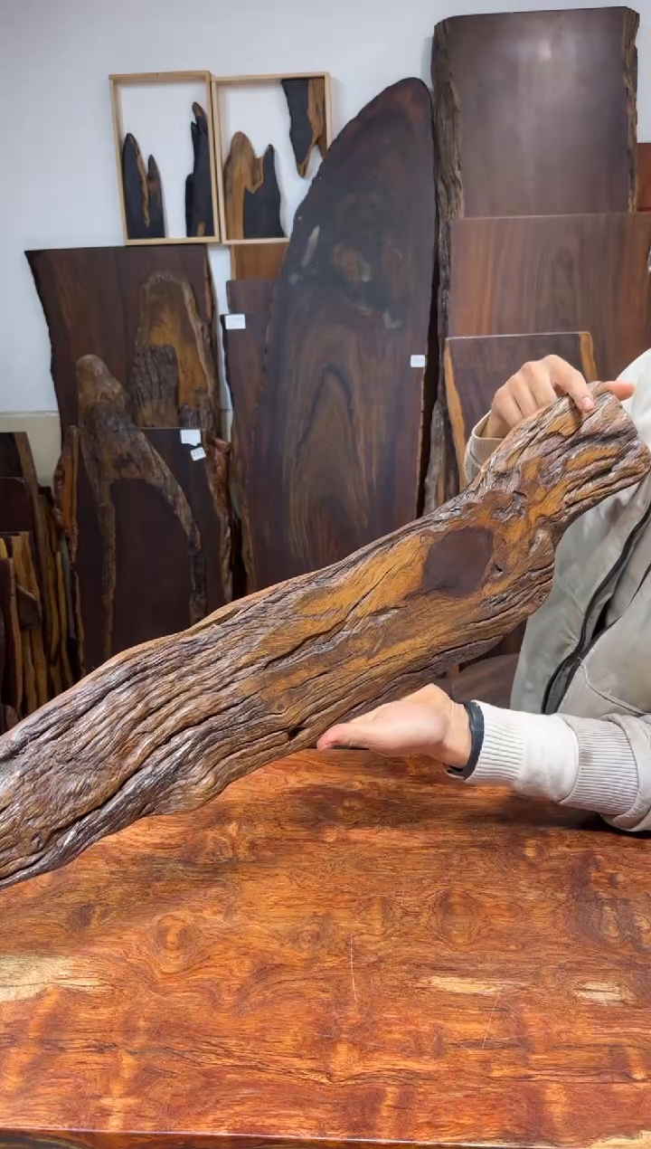 风车木（黑檀木）编号417