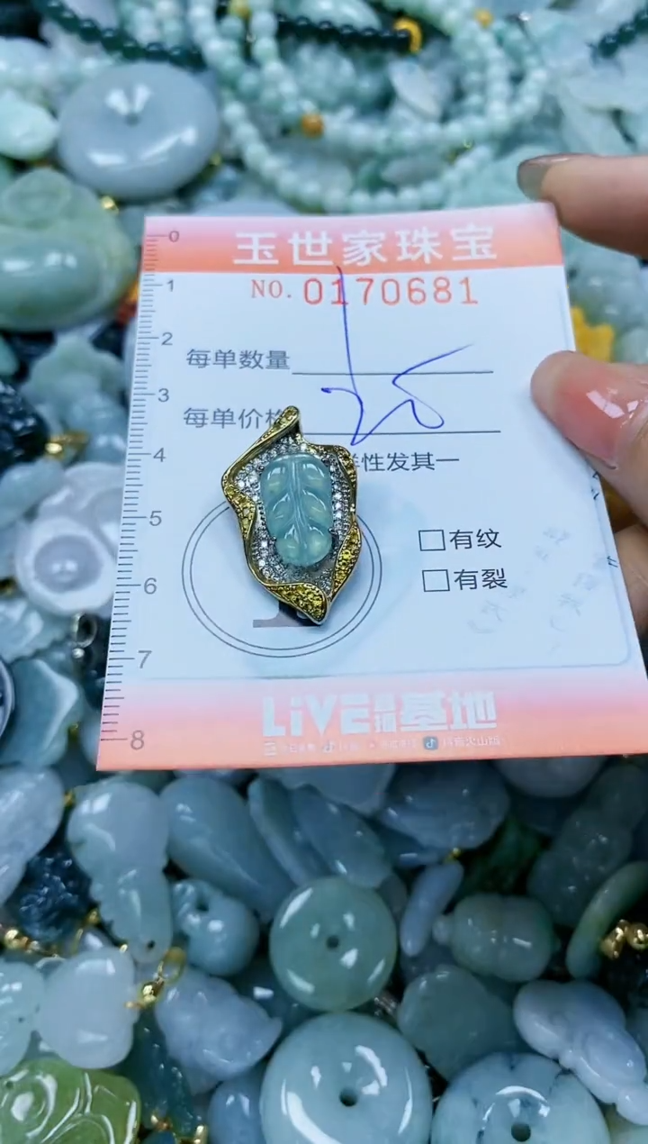 【闪购商品】翡翠颈饰未镶嵌闪购0170681