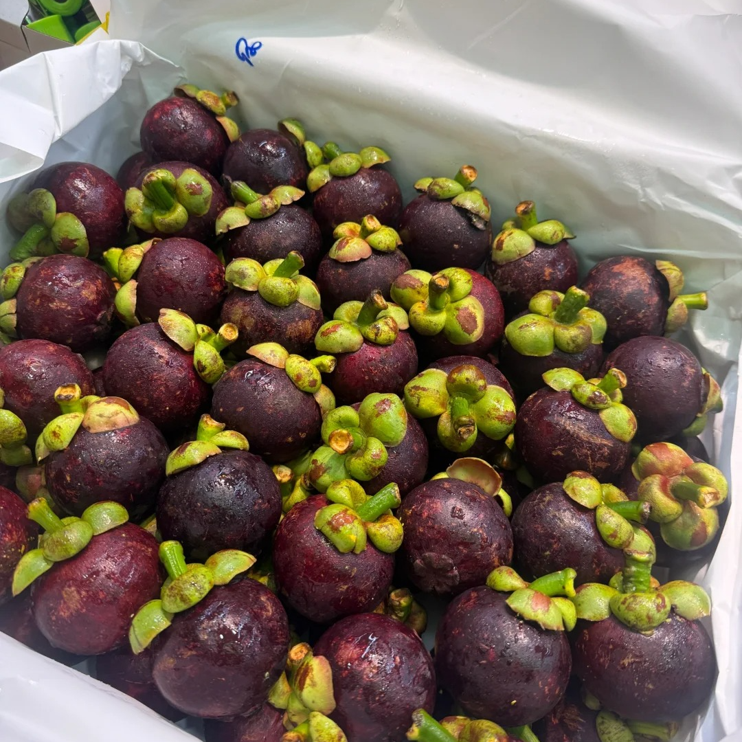 【水果皇后】3A山竹 整件带箱17斤左右