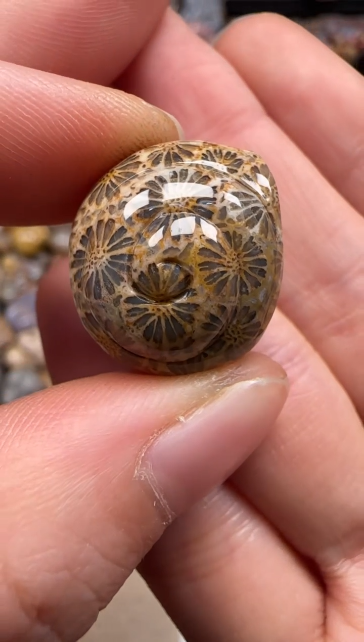 【闪购商品】硅化珊瑚（珊瑚玉）颈饰未镶嵌493