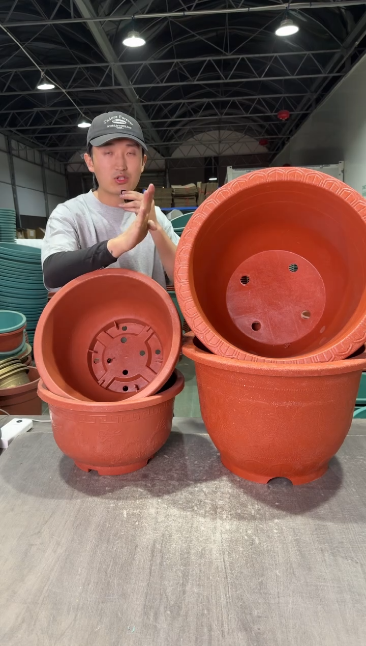 50口径红欧花2，40红龙盆2