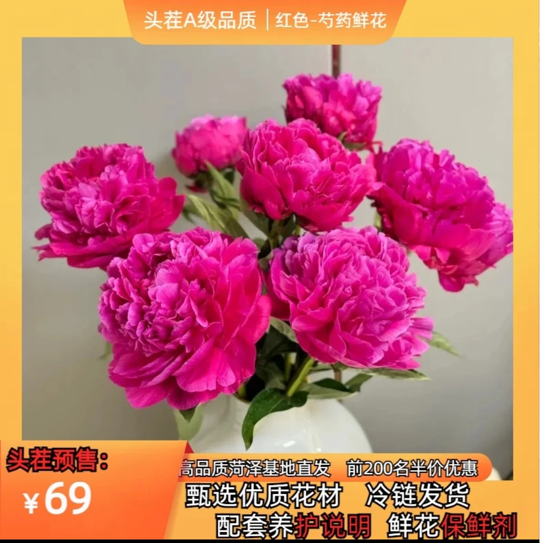 预售 红色-芍药鲜切花10枝 菏泽基地直发