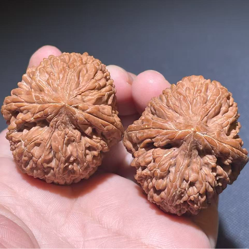 DST000500野生小众大蒜头全品无修2025头货