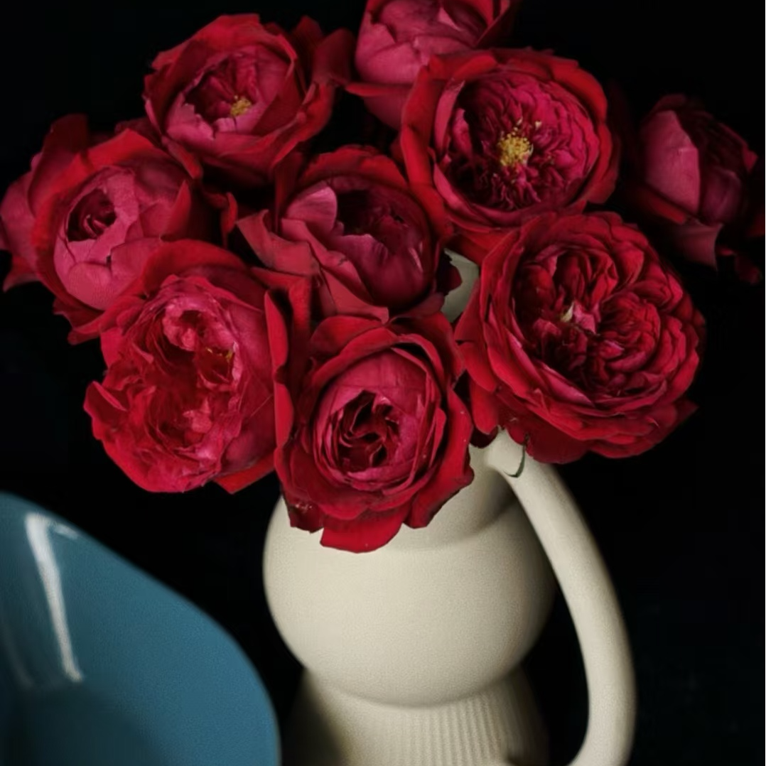 【花汀私享】芍药红-单头玫瑰（注意带包装醒花哦~）