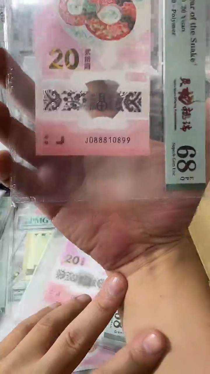 塑料088810899蛇钞单张