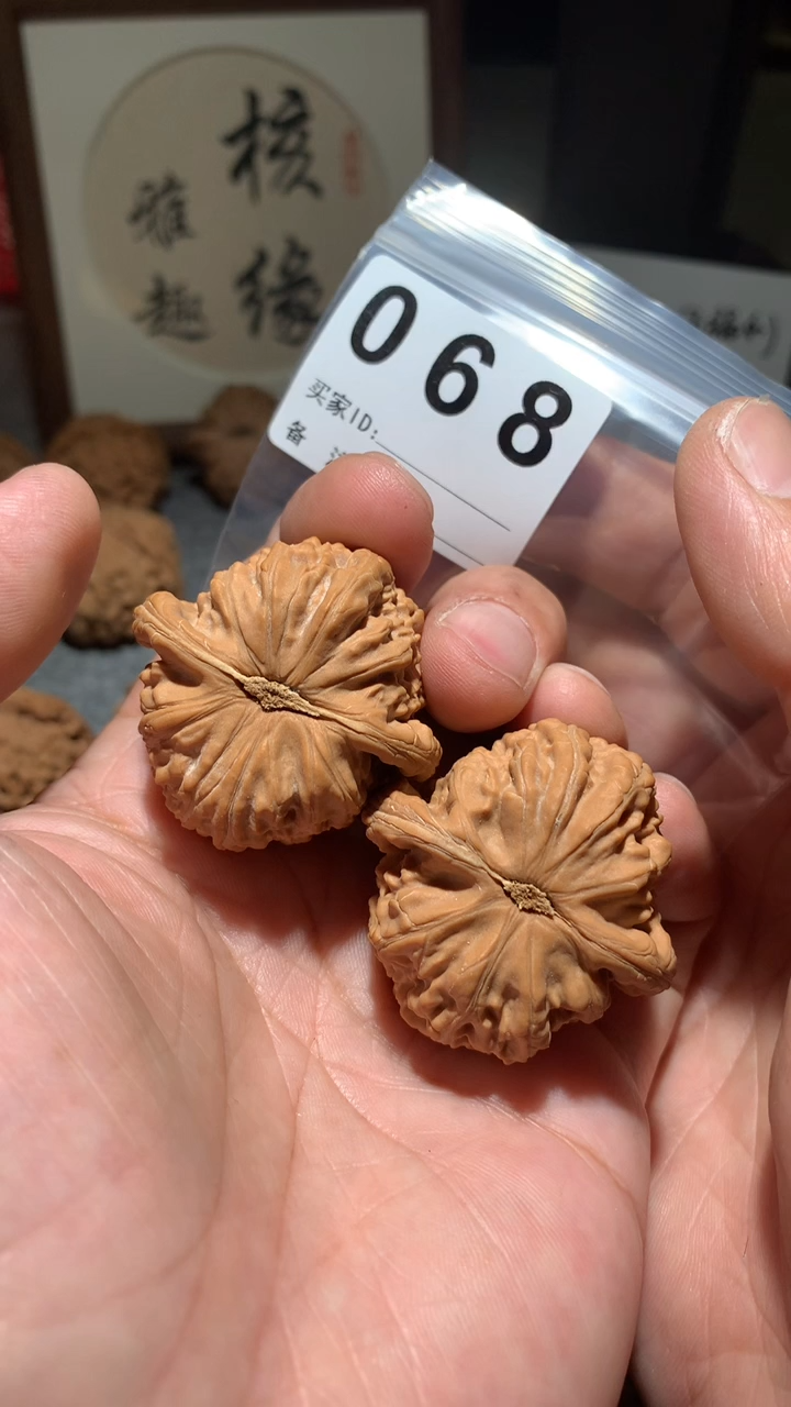 文玩核桃把件40左右球白一对