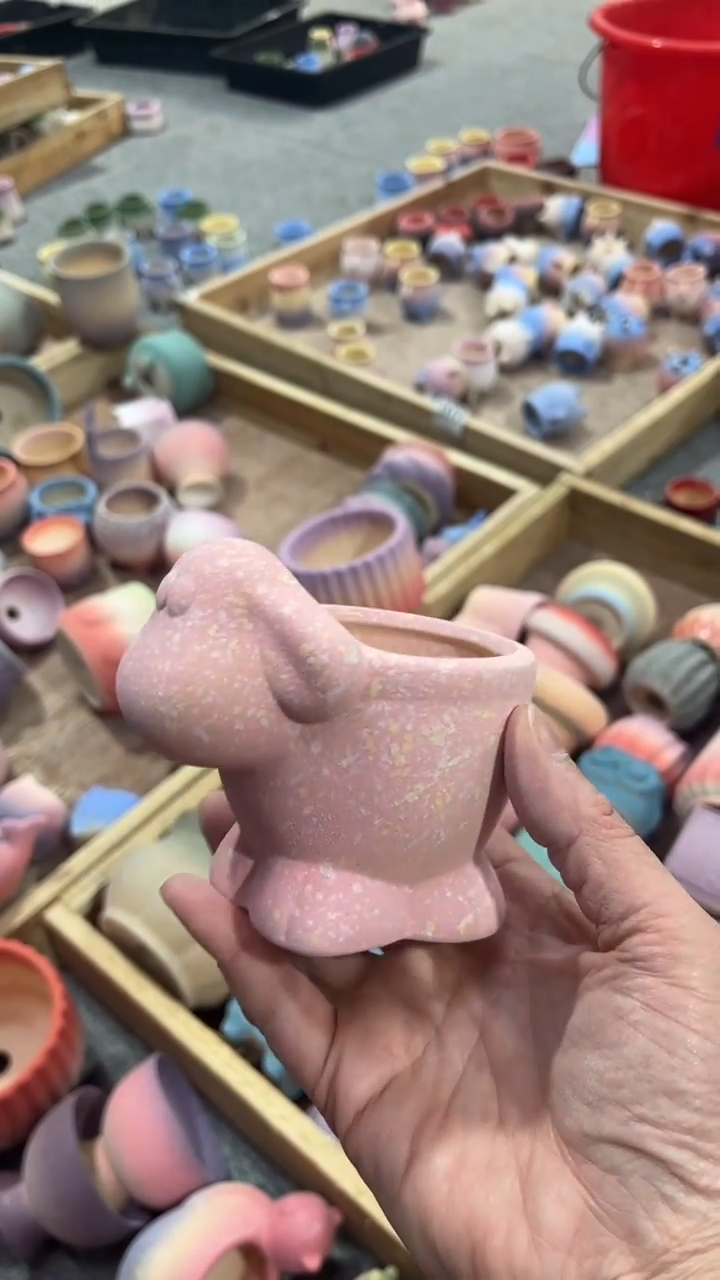 【闪购商品】红陶6*5