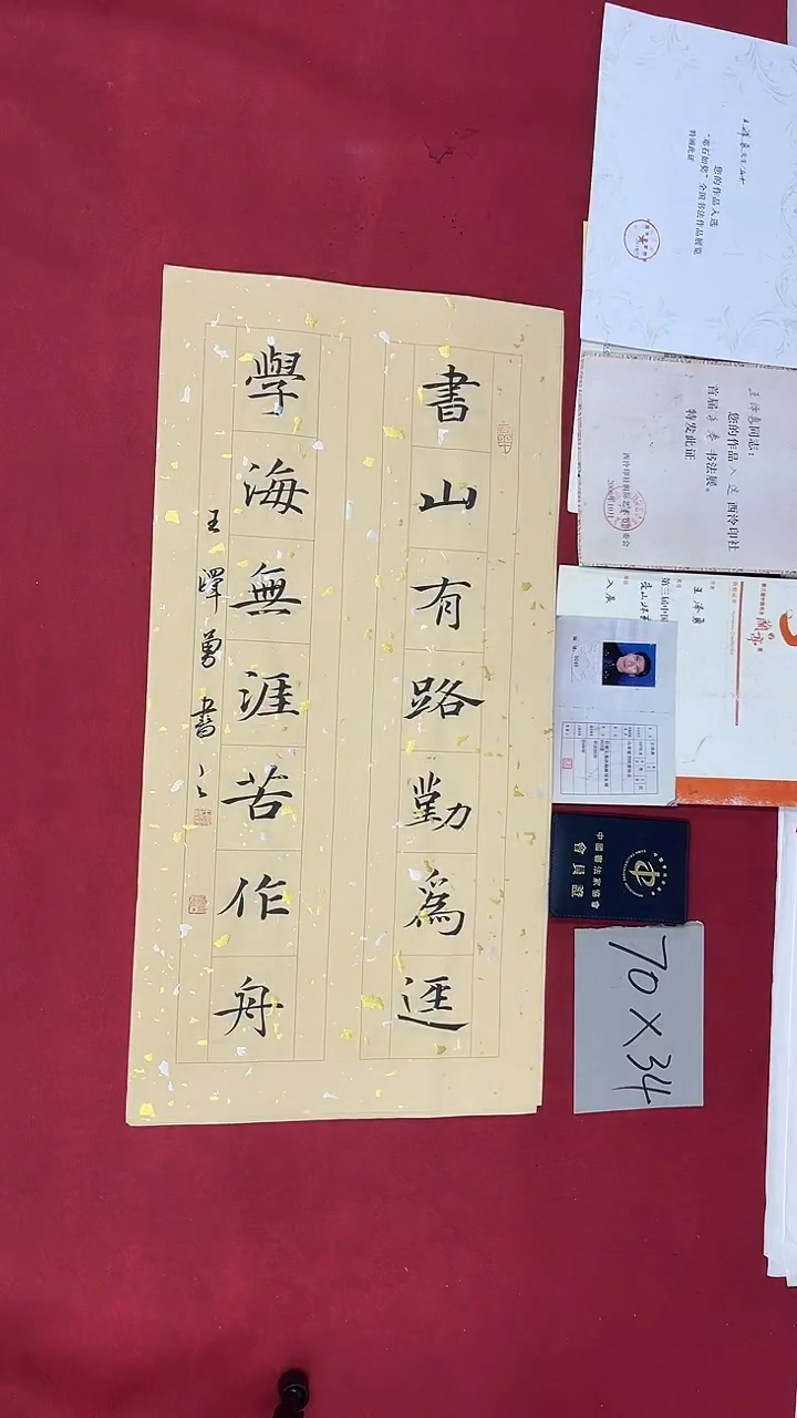 书法王泽勇老师书法作品033