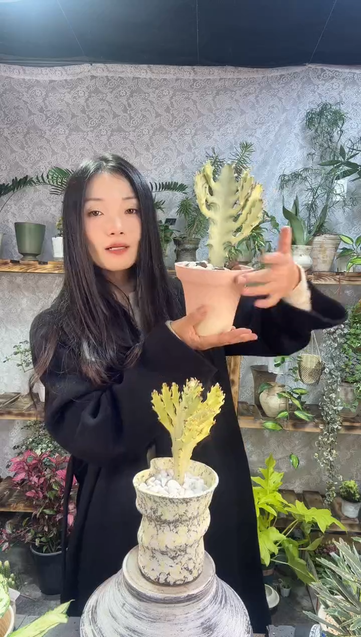 完全开放i***n1111