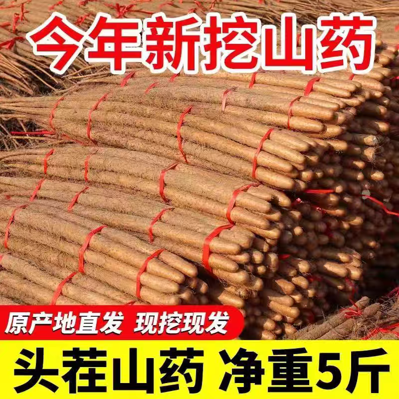 （顺丰包邮）精品铁棍山药长度60公分5斤装
