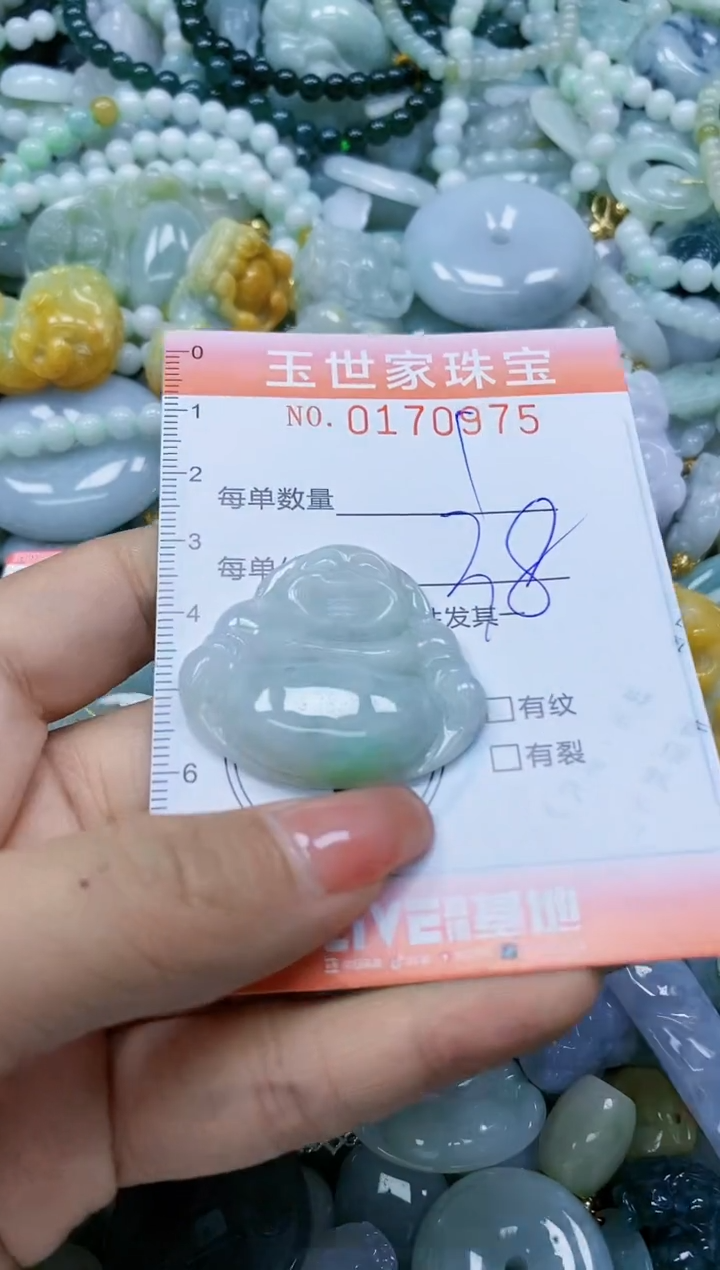 【闪购商品】翡翠颈饰未镶嵌闪购0170975