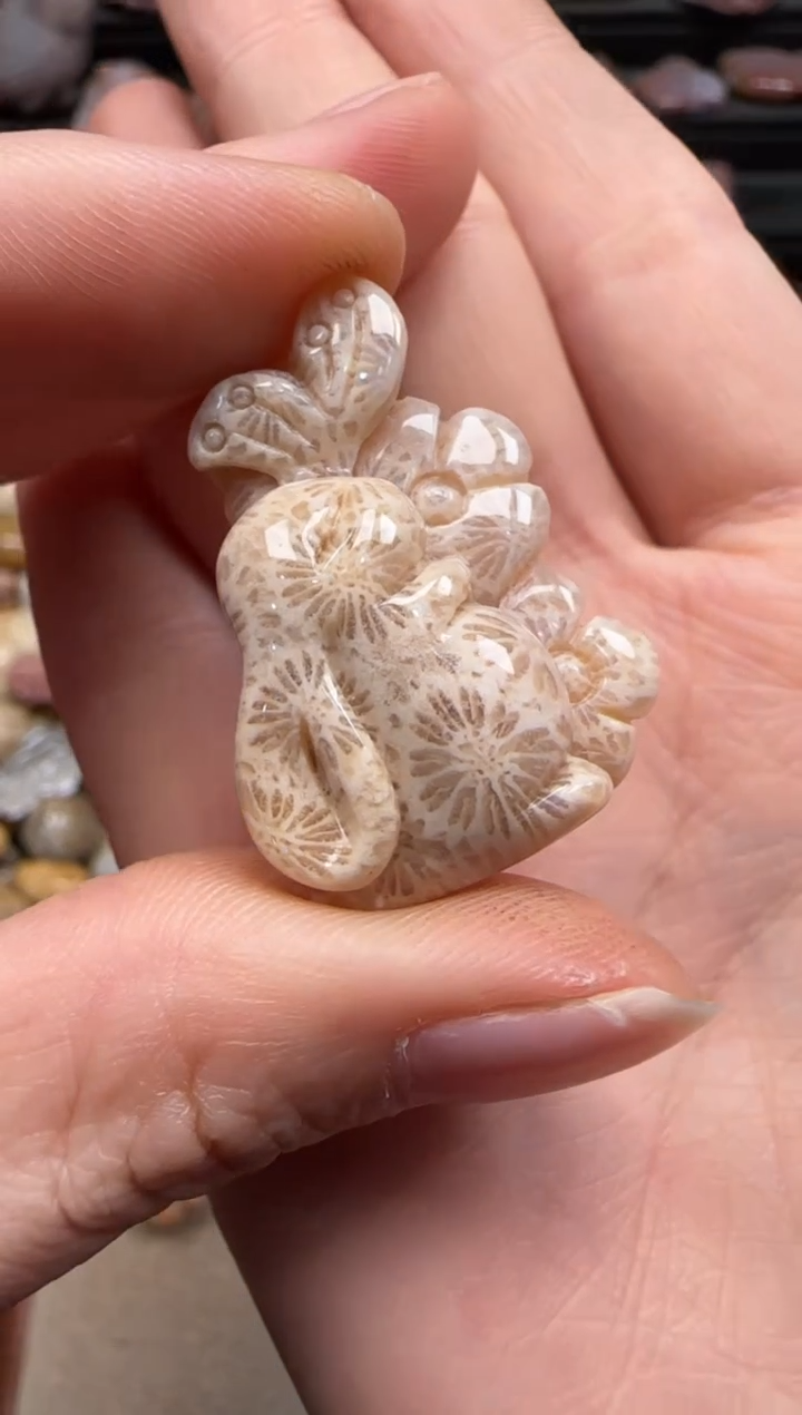 【闪购商品】硅化珊瑚（珊瑚玉）颈饰未镶嵌045