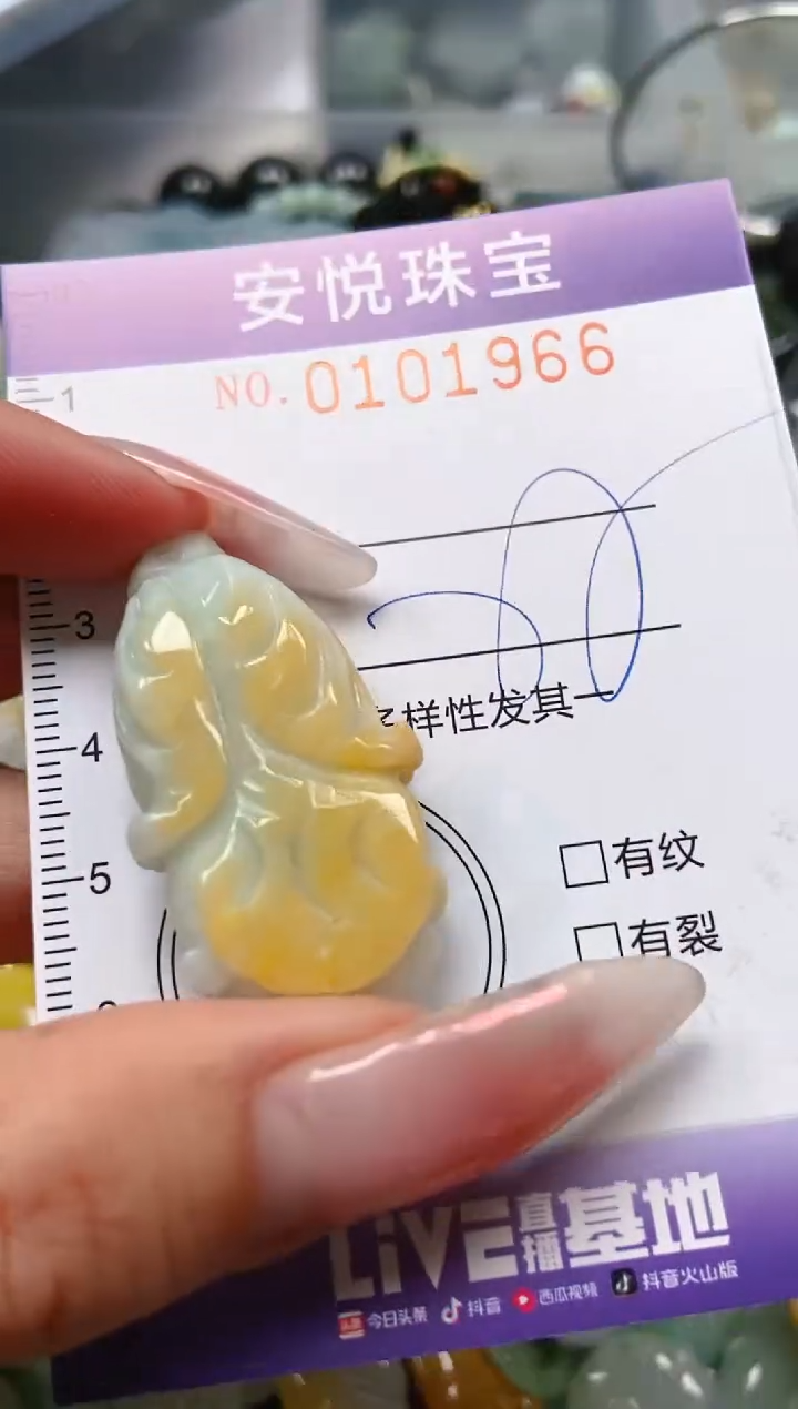 【闪购商品】翡翠颈饰未镶嵌闪购0101966