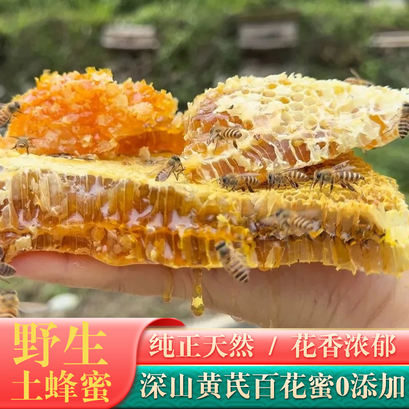 【野生土蜂蜜】纯正天然野生0添加黄芪蜜百花蜜500克搭配黄芪泡水