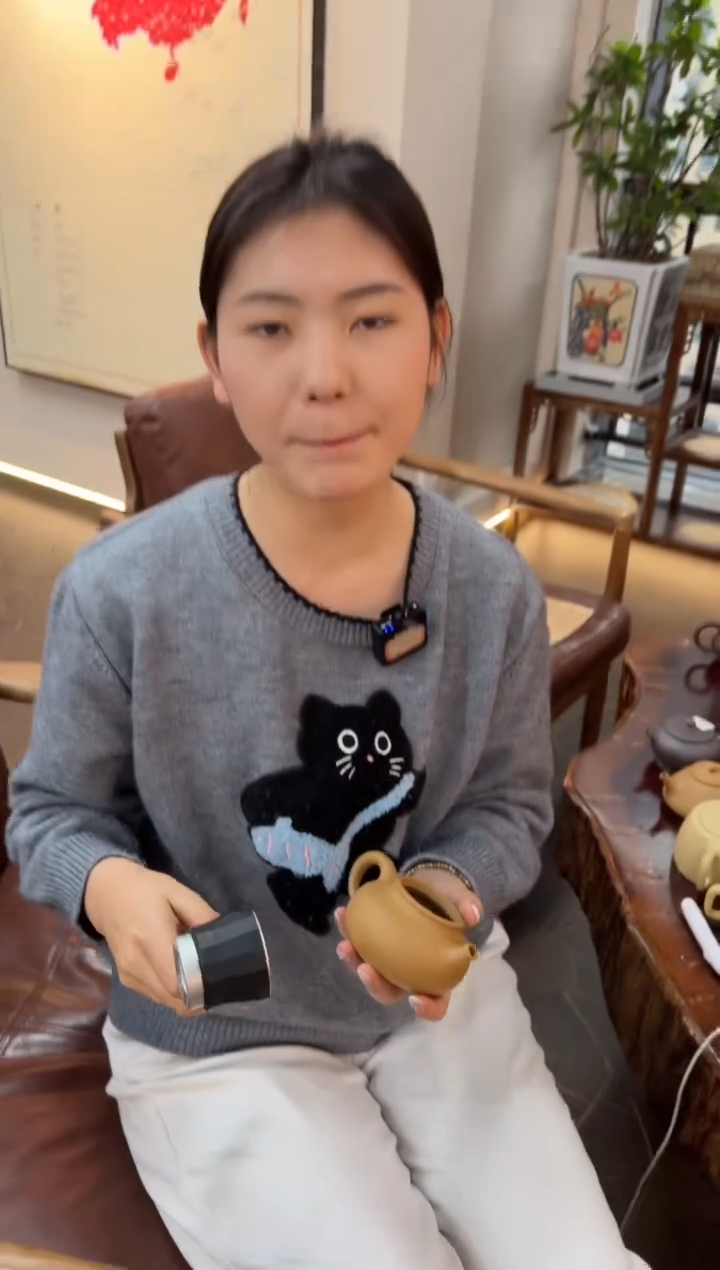 【闪购商品】紫砂茶壶头哥紫砂【福利专场】：黄金段容天