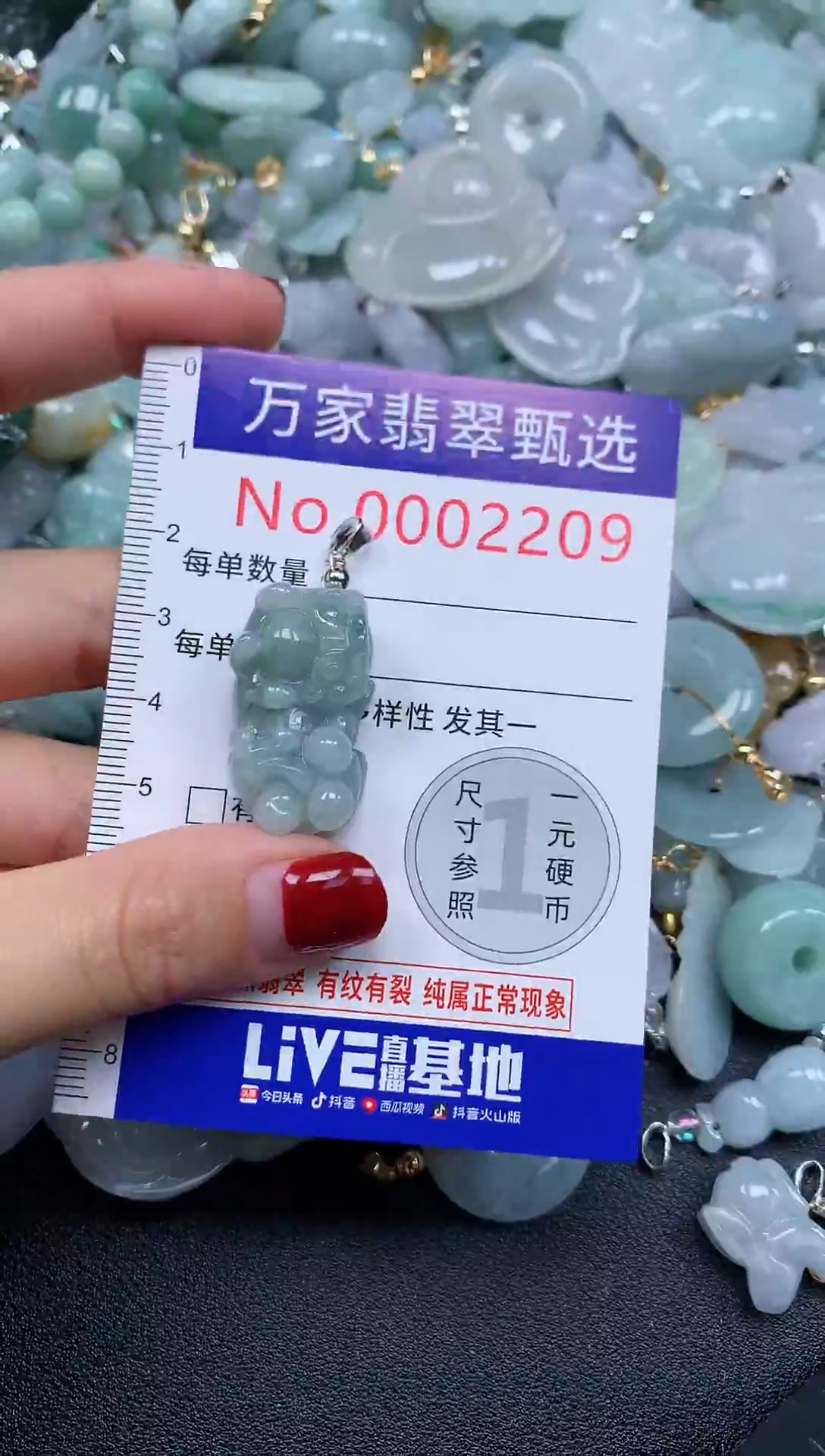 吊坠(不含链)未镶嵌翡翠2209