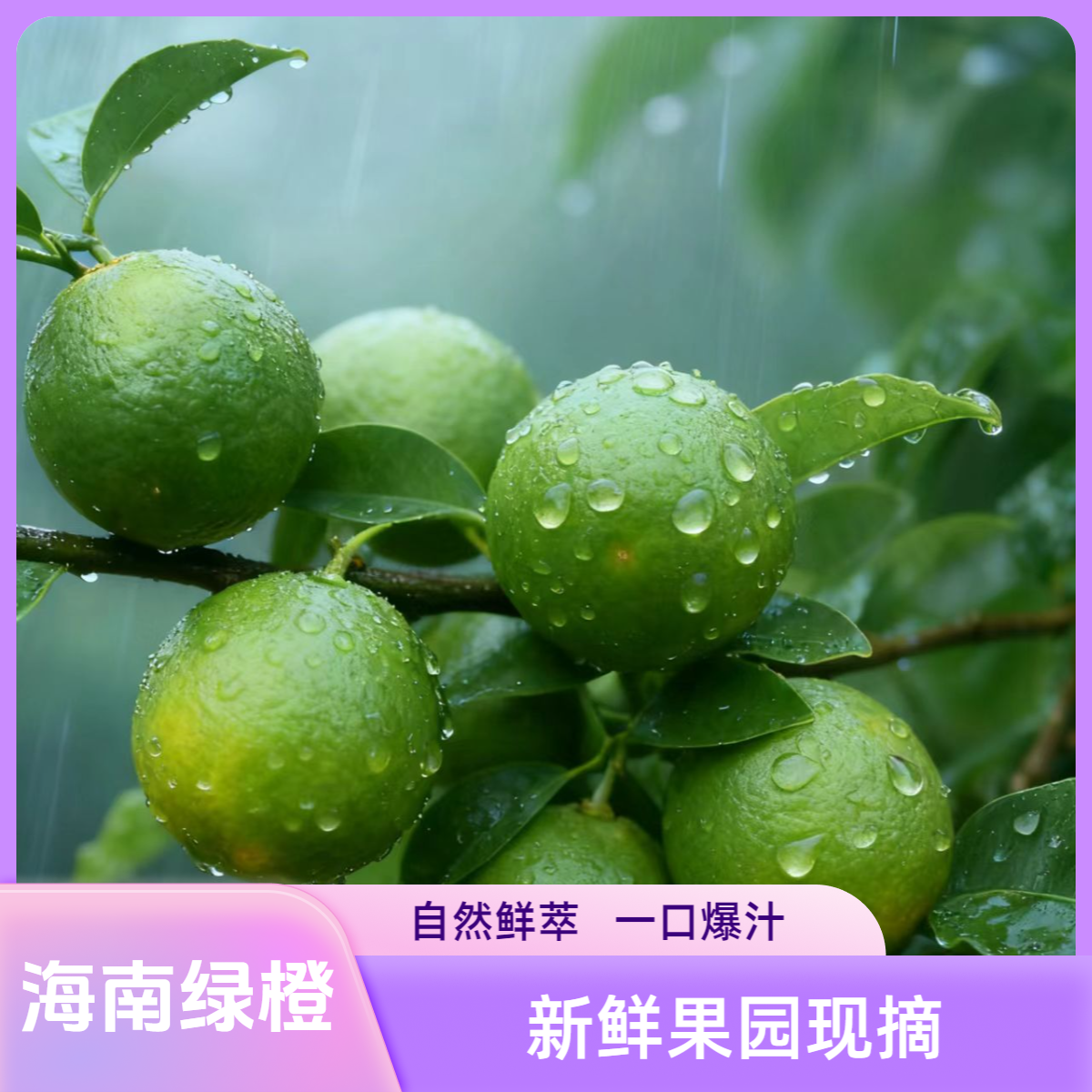 5-10斤海南绿橙清甜多汁新鲜应季水果现摘现发